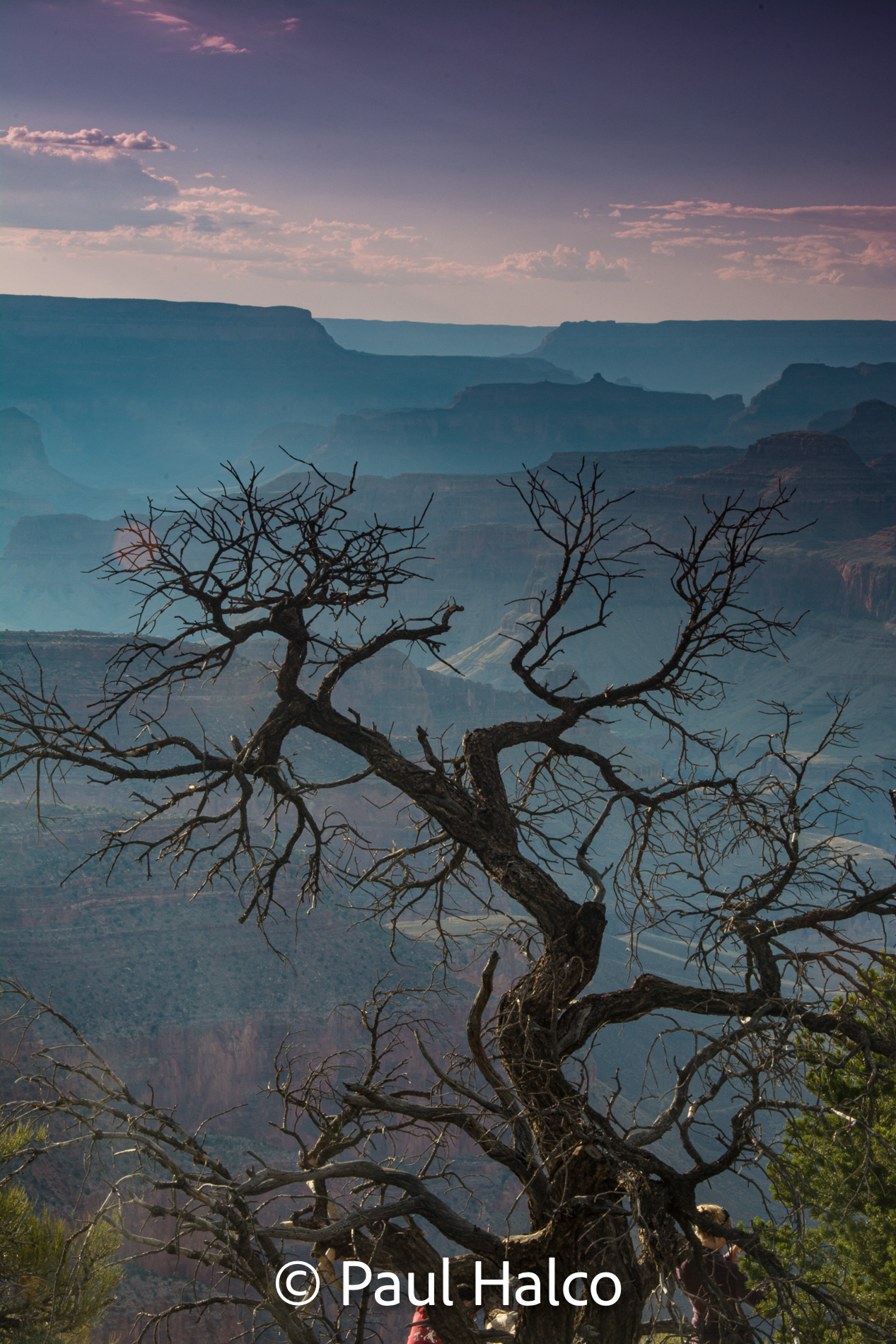Paul Halco - Grand Canyon NP-1
